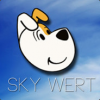 avatar SkyWert