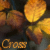 avatar cross13