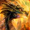 avatar dragon555
