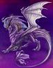 avatar dragon97