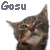 avatar gosu