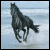 avatar horse