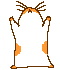 avatar kormora