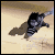 avatar ninja01