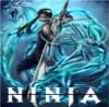 avatar ninja990