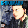 avatar shikamarru