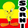 avatar sorni123