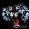 avatar tygrys654
