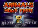Miniaturka gry: Animals Home Free
