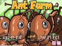 Miniaturka gry: Ant Farm