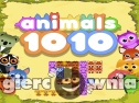 Miniaturka gry: Animals 1010