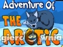 Miniaturka gry: Adventure of Arctic