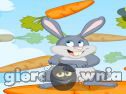 Miniaturka gry: Bunny Paradise