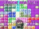 Miniaturka gry: Block Master