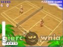 Miniaturka gry: Beach Tennis