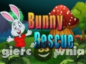 Miniaturka gry: Bunny Rescue
