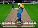 Miniaturka gry: Cricket Championship 2008