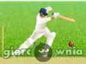 Miniaturka gry: Cricket Defend the Wicket