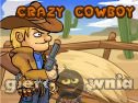 Miniaturka gry: Crazy Cowboy