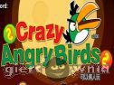 Miniaturka gry: Crazy Angry Birds