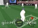 Miniaturka gry: Cricket Challenge