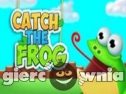 Miniaturka gry: Catch The Frog