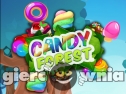 Miniaturka gry: Candy Forest