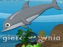 Miniaturka gry: Dolphin Dive