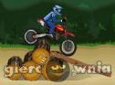 Miniaturka gry: Dirtbike Fun