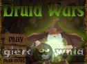 Miniaturka gry: Druid Wars