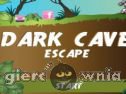 Miniaturka gry: Dark Cave Escape