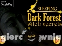 Miniaturka gry: Sleeping Dark Forest Witch Secrets
