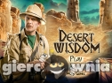 Miniaturka gry: Desert Wisdom