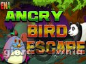 Miniaturka gry: Ena Angry Bird Escape