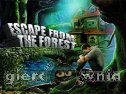 Miniaturka gry: Escape From The Forest