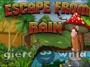 Miniaturka gry: Escape From Rain