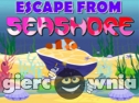 Miniaturka gry: Escape From Seashore
