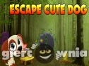 Miniaturka gry: Escape Cute Dog