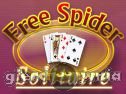Miniaturka gry: Free Spider Solitaire