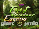 Miniaturka gry: Forest reindeer escape
