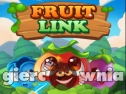 Miniaturka gry: Fruit Link