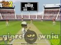 Miniaturka gry: Flash Cricket 2