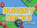 Miniaturka gry: Hungry Ducks