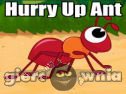 Miniaturka gry: Hurry Up Ant
