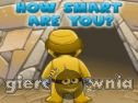 Miniaturka gry: How Smart Are You