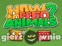 Miniaturka gry: How to Feed Animals