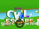 Miniaturka gry: http://www.knfgame.com/owl-escape-knf/