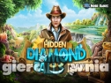Miniaturka gry: Hidden Diamond Falls