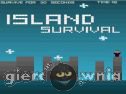 Miniaturka gry: Island Survival