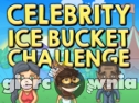 Miniaturka gry: Celebrity Ice Bucket Challenge